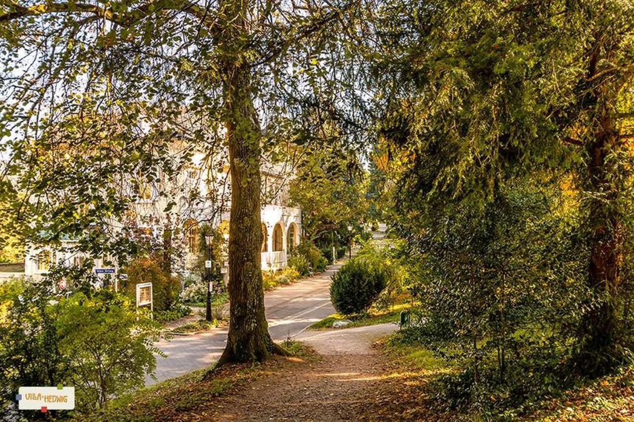 Villa Hedwig Баденвайлер Экстерьер фото